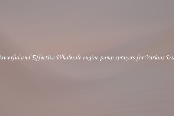 Powerful and Effective Wholesale engine pump sprayers for Various Uses