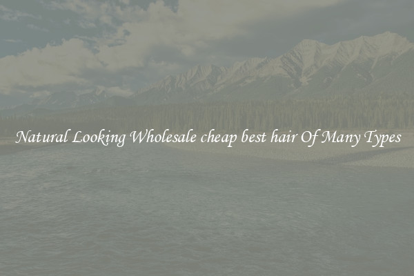 Natural Looking Wholesale cheap best hair Of Many Types