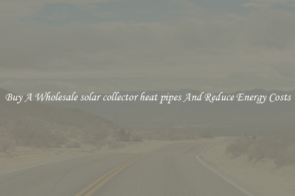Buy A Wholesale solar collector heat pipes And Reduce Energy Costs