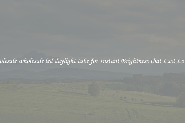 Wholesale wholesale led daylight tube for Instant Brightness that Last Longer