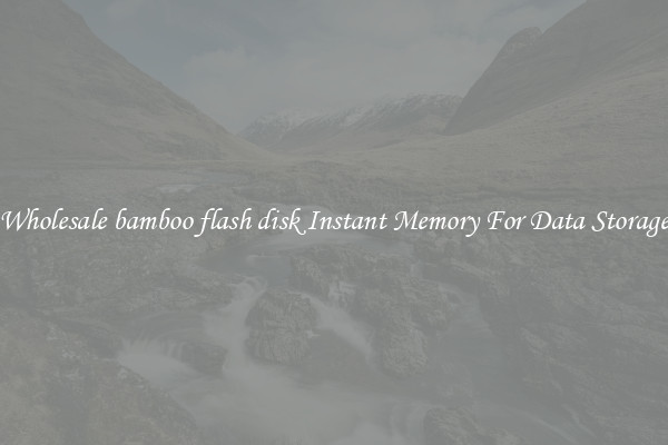 Wholesale bamboo flash disk Instant Memory For Data Storage