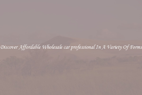 Discover Affordable Wholesale car professional In A Variety Of Forms