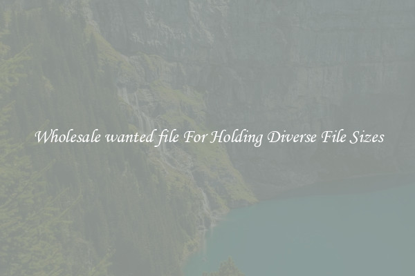 Wholesale wanted file For Holding Diverse File Sizes