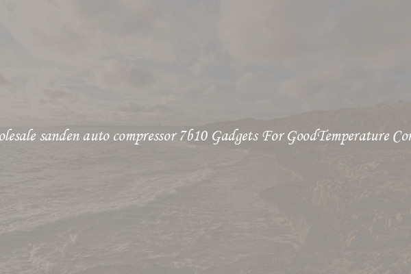 Wholesale sanden auto compressor 7b10 Gadgets For GoodTemperature Control