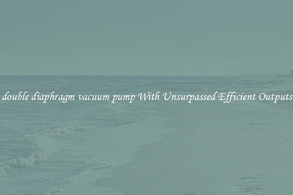 double diaphragm vacuum pump With Unsurpassed Efficient Outputs