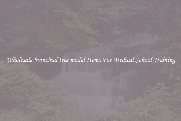 Wholesale bronchial tree model Items For Medical School Training