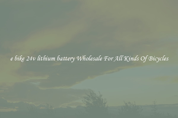 e bike 24v lithium battery Wholesale For All Kinds Of Bicycles