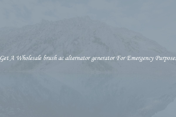 Get A Wholesale brush ac alternator generator For Emergency Purposes