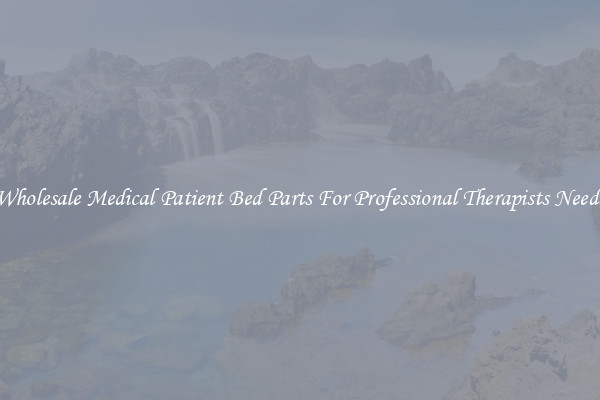 Wholesale Medical Patient Bed Parts For Professional Therapists Needs