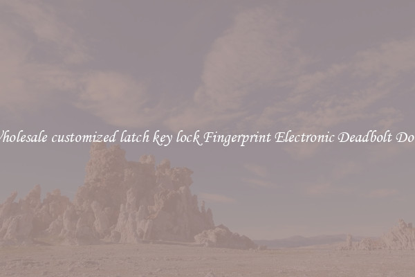 Wholesale customized latch key lock Fingerprint Electronic Deadbolt Door 