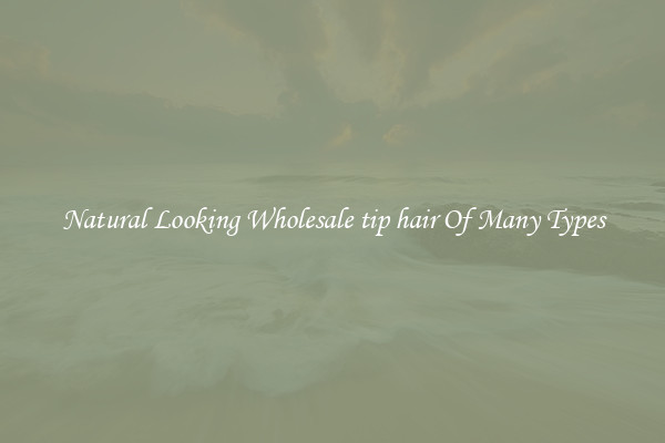 Natural Looking Wholesale tip hair Of Many Types