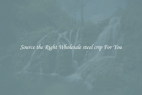 Source the Right Wholesale steel crip For You