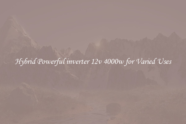 Hybrid Powerful inverter 12v 4000w for Varied Uses