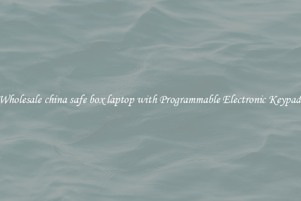 Wholesale china safe box laptop with Programmable Electronic Keypad 