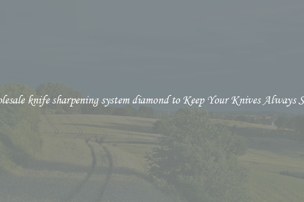 Wholesale knife sharpening system diamond to Keep Your Knives Always Sharp
