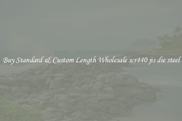 Buy Standard & Custom Length Wholesale scr440 jis die steel