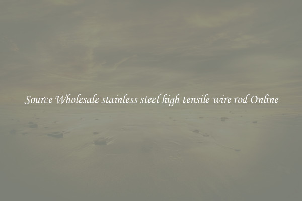 Source Wholesale stainless steel high tensile wire rod Online