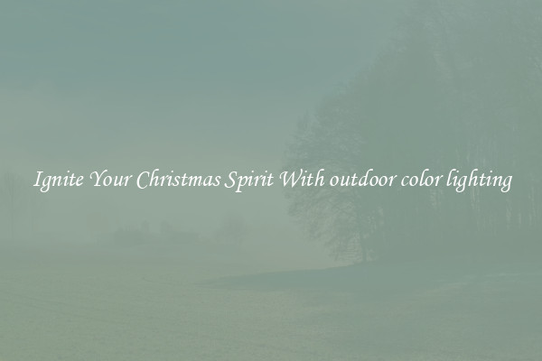 Ignite Your Christmas Spirit With outdoor color lighting