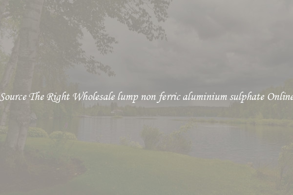 Source The Right Wholesale lump non ferric aluminium sulphate Online