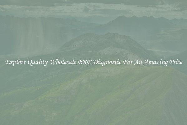 Explore Quality Wholesale BRP Diagnostic For An Amazing Price