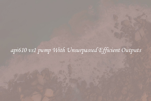 api610 vs1 pump With Unsurpassed Efficient Outputs
