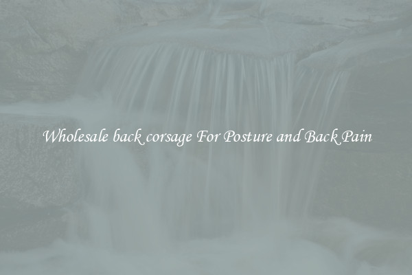 Wholesale back corsage For Posture and Back Pain