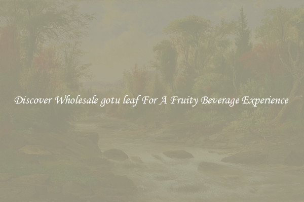 Discover Wholesale gotu leaf For A Fruity Beverage Experience 