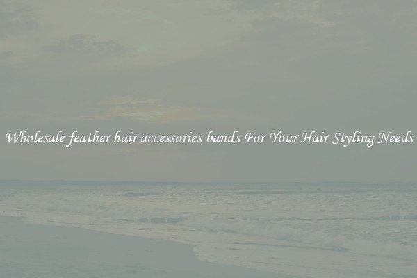 Wholesale feather hair accessories bands For Your Hair Styling Needs